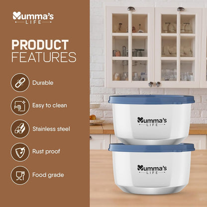 Mumma's LIFE- Stainless Steel Lunch Box Set of 2 (280 ml Each) with Insulated Lunch Bag, Leak Proof Lunch Box for Office & College (Grey)